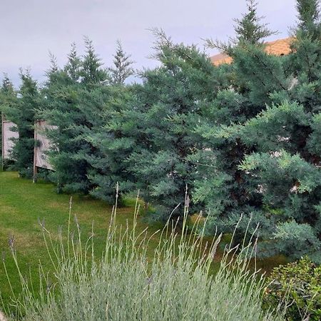 Alekos Beach Houses-Elia Villas Lixouri Zewnętrze zdjęcie